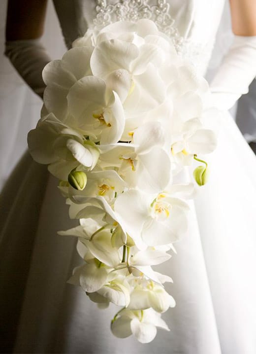 Bouquet sposa orchidee
